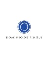 Dominio de Pingus